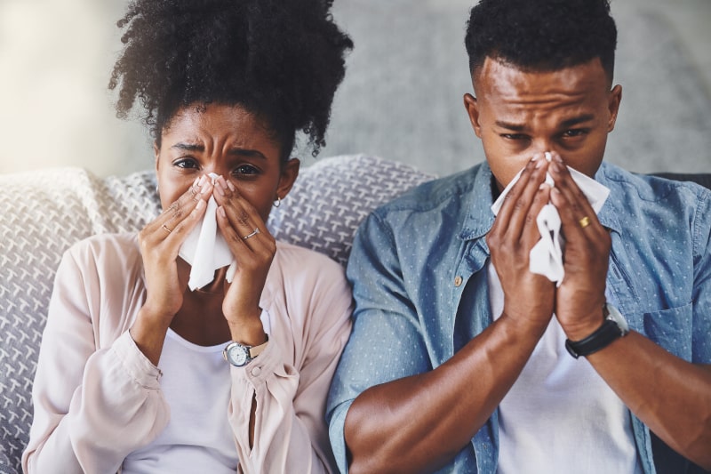 Indoor Air Solutions for Madison, VA, Allergy Sufferers
