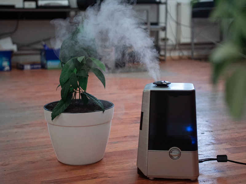 What’s Polluting Your Air and What Can Help